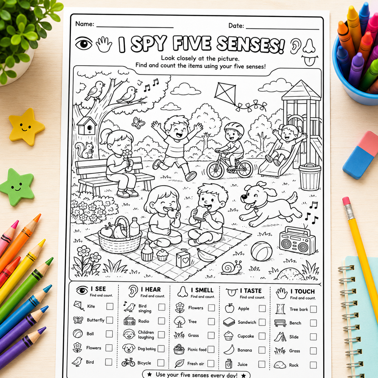 Five Senses Worksheets for Kids | Printable PDF Activity Bundle