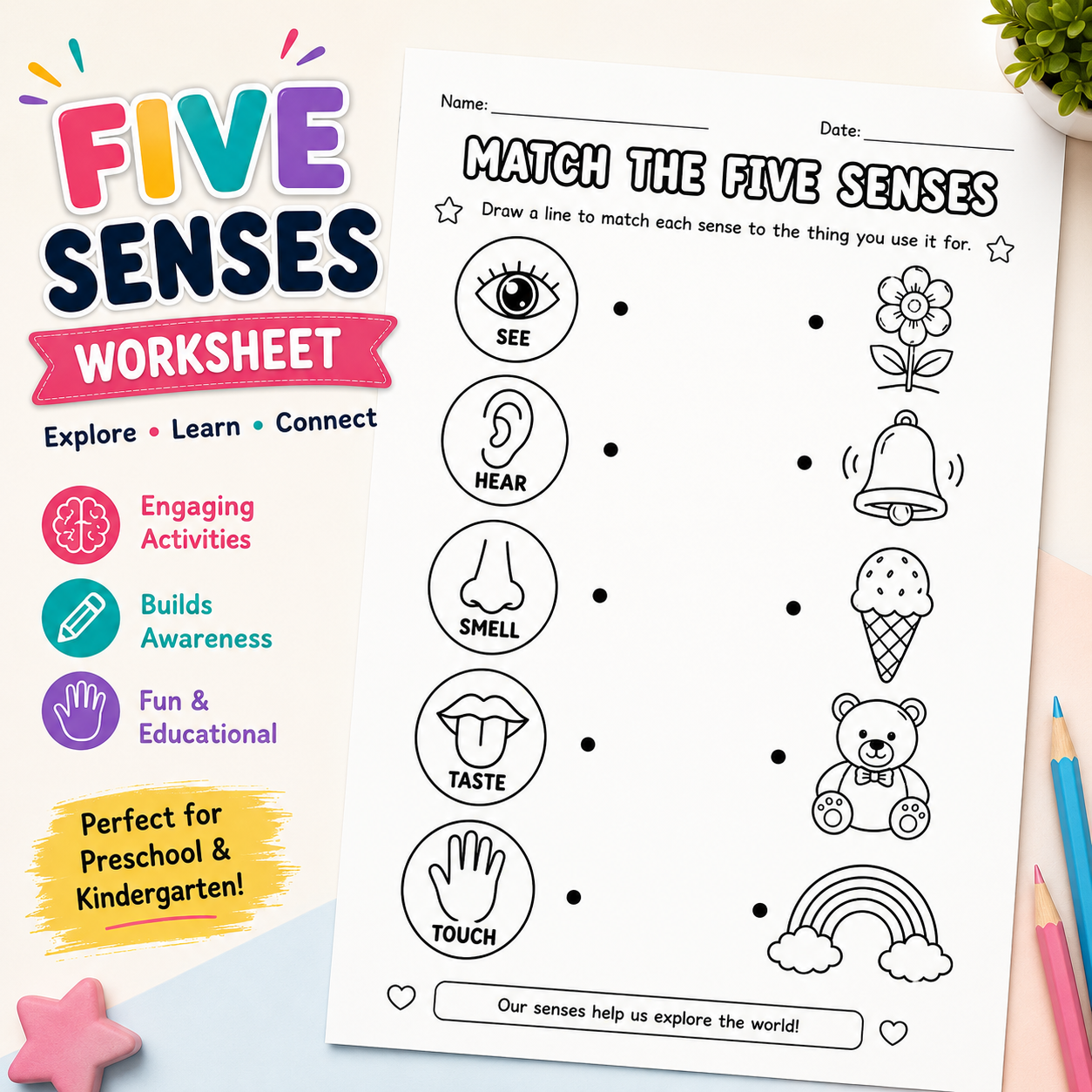 Five Senses Worksheets for Kids | Printable PDF Activity Bundle
