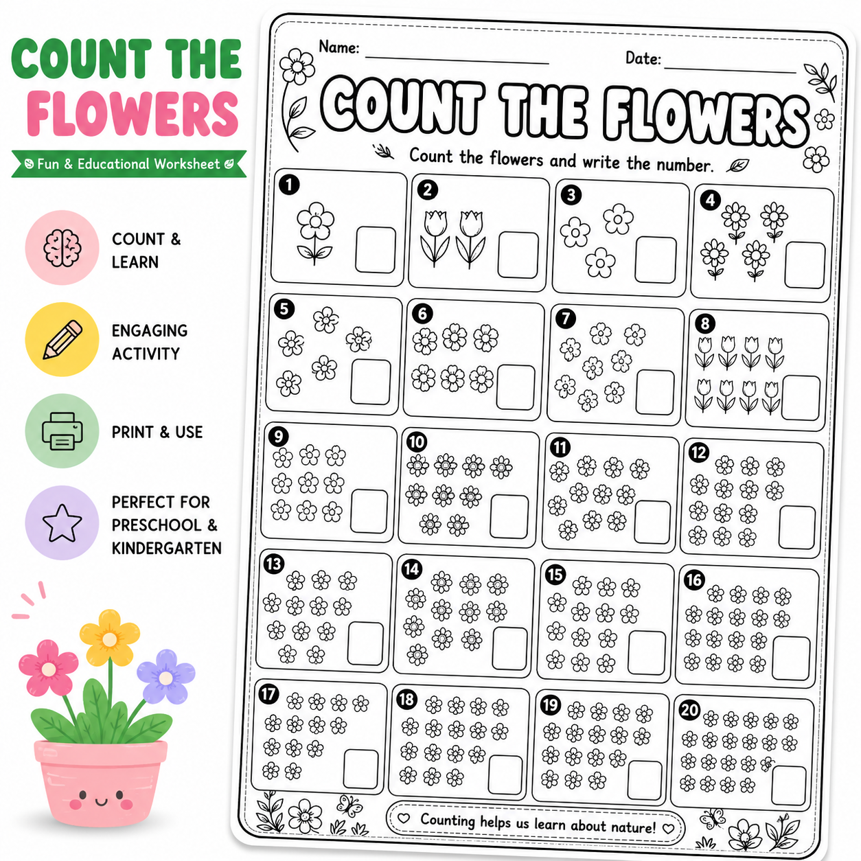 A children's educational worksheet titled 'COUNT THE FLOWERS' with numbered flower-counting exercises, shown on a white background with colorful icons and a small potted flower illustration.