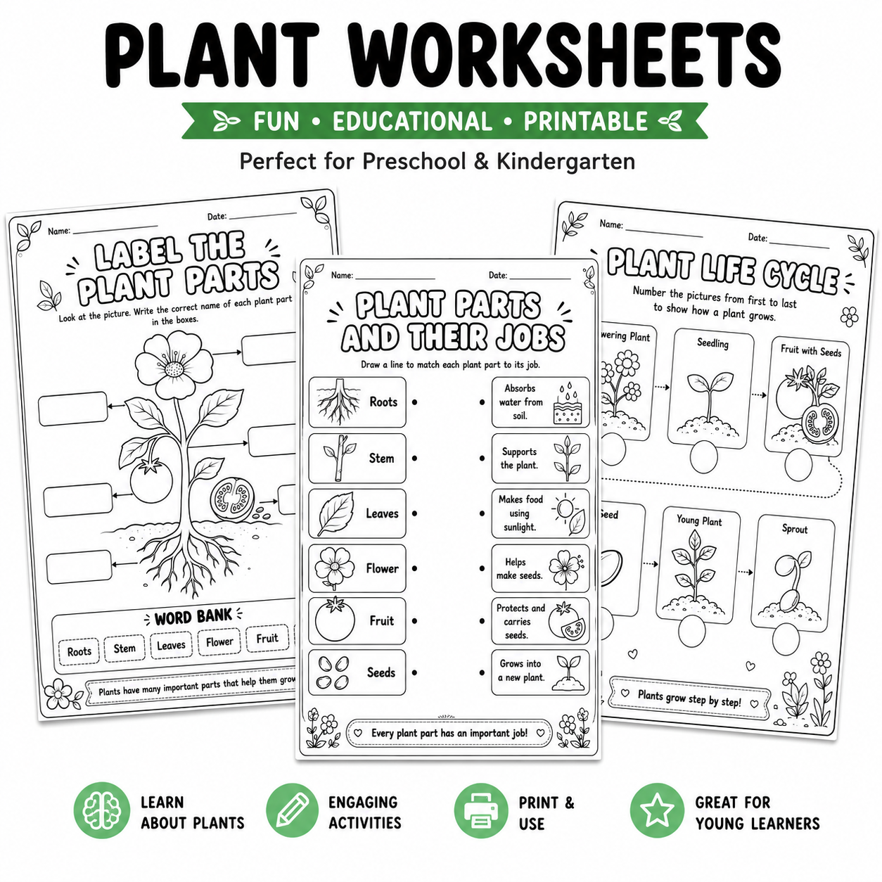 Three printable educational plant worksheet pages shown on a white background, with large title text reading 'PLANT WORKSHEETS' and feature icons along the bottom.